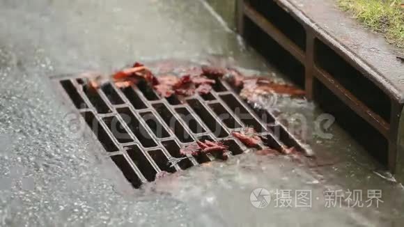 雨水道