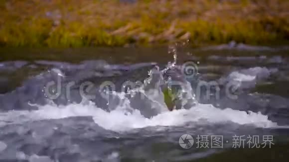 山河闭水缓行视频