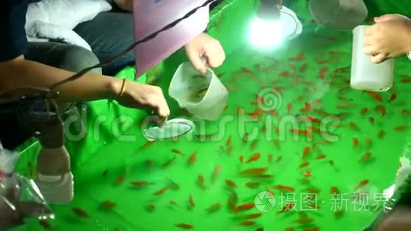 泰国曼谷夜间节日用纸勺捞鱼视频