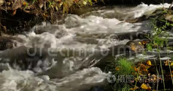 秋天森林里纯净的淡水瀑布视频