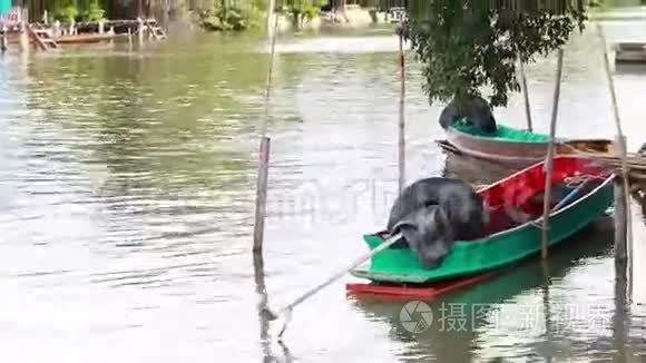 泰国渔民近江摩托艇视频