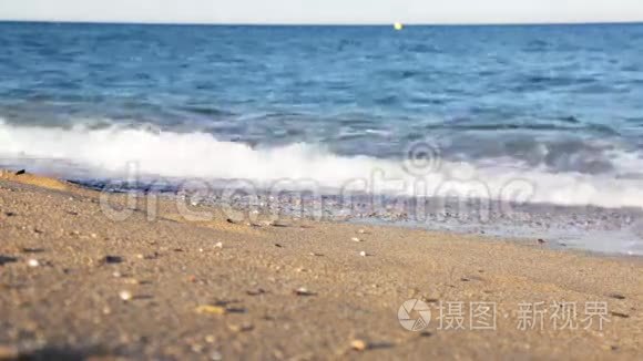 赤脚女孩在沙滩上散步视频