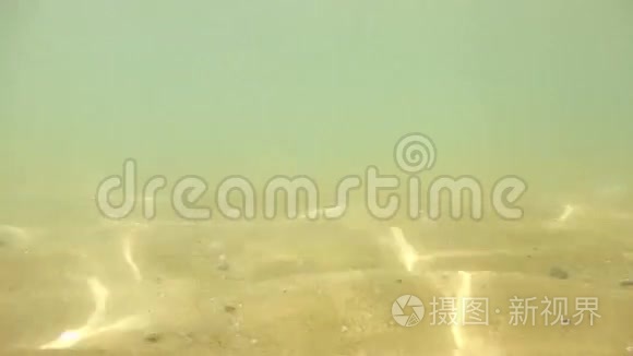 在浅水中的水下脚步声视频