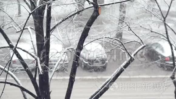 降雪期间在街上停放车辆视频