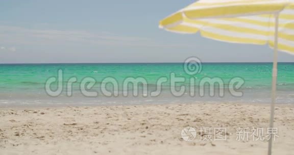 阳光明媚的热带海滩上的沙滩伞视频