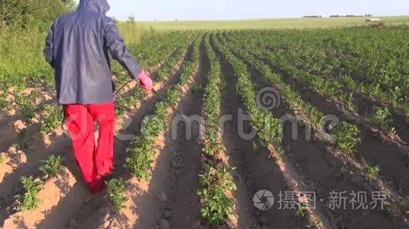 农民防护装备喷洒马铃薯田视频