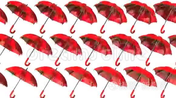 许多红伞视频