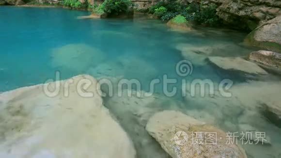 泰国林凤湖瀑布鱼视频