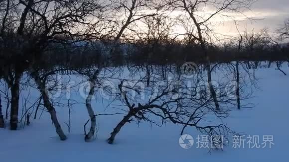 芬兰拉普兰美丽的冬季景观视频