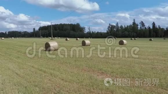 稻草捆在田野上视频