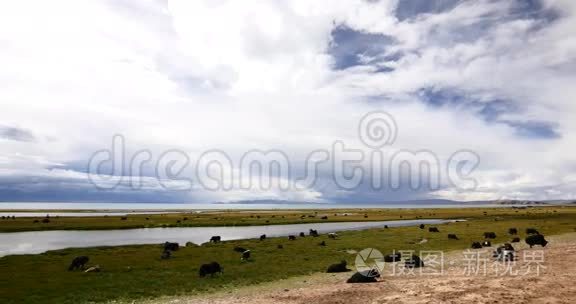4k云团滚滚翻过纳姆索湖，牧民帐篷，一群牛。