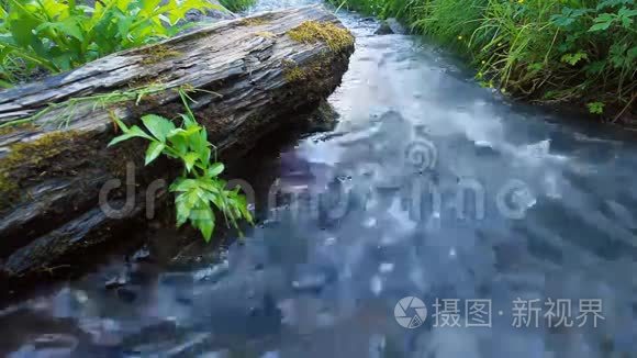 森林和河流