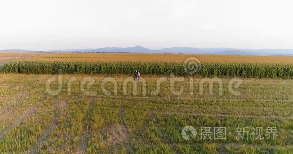 青年农民在玉米田间农业中讨论视频