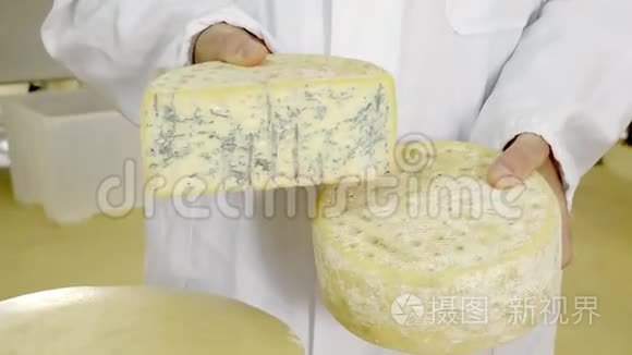 奶酪的生产视频