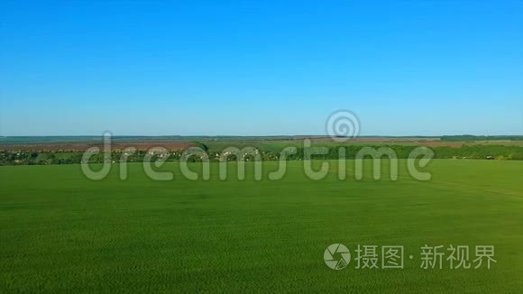 一片无边无际的绿色稻田，与远处的村庄依画山相望