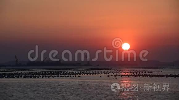 海运货物港口日落视频