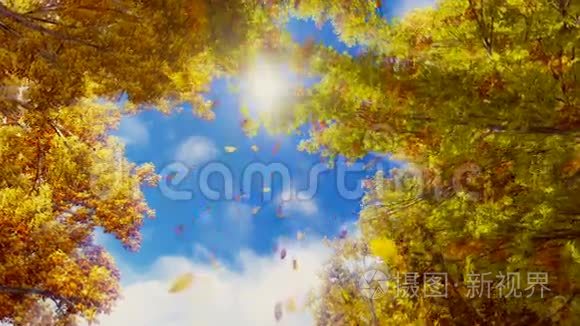 秋天的落叶和阳光的天空慢动作视频