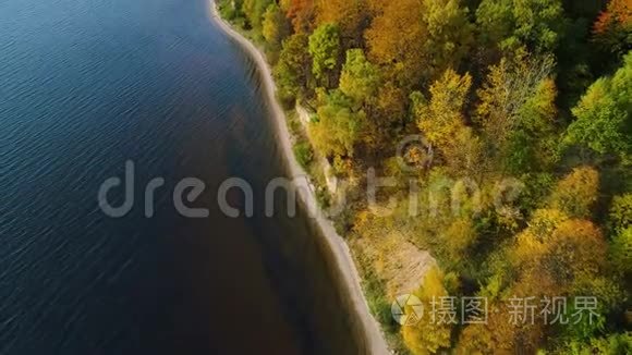秋季飞越湖泊和森林视频