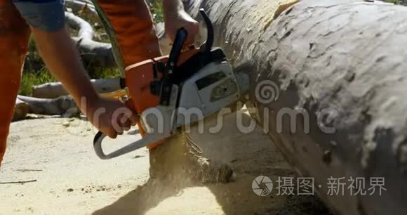 伐木工人用电锯砍树视频