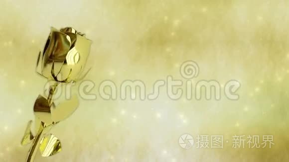 金色玫瑰与星星无缝视频循环视频