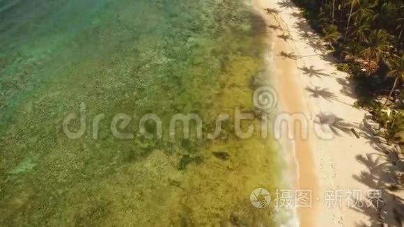 热带海滩与绿松石海视频