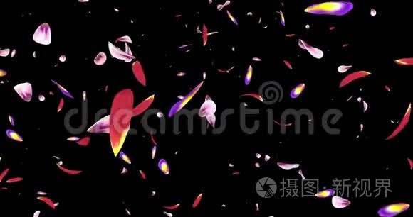 飞粉紫樱花花瓣飘落背景阿尔法哑光环4k