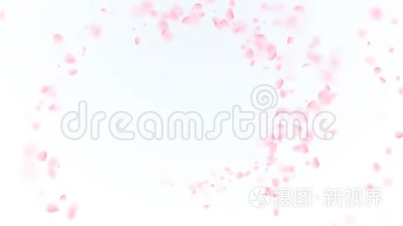 粉红色的樱花花瓣落在浪漫的抽象背景上。 循环4K运动春花图形。