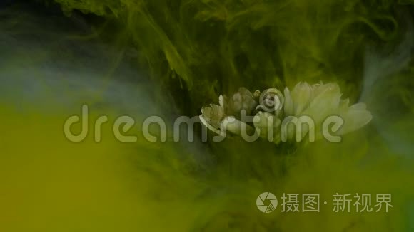 色彩斑斓的混合墨水的美丽花朵视频