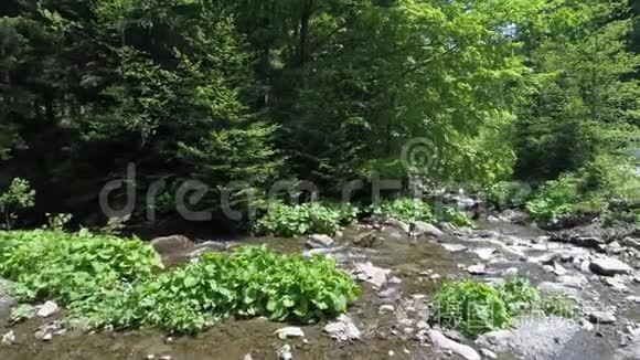 喀尔巴阡山美丽的河流视频