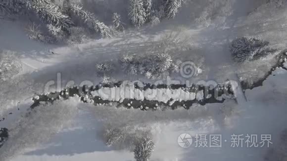 飞越雪山森林视频