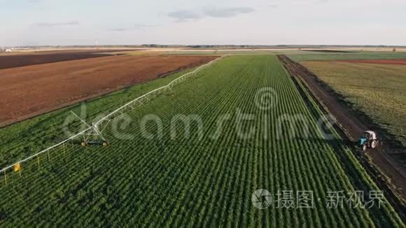 工业农业4K空中视频镜头夏季农田灌溉。 射击，夏季黎明农业