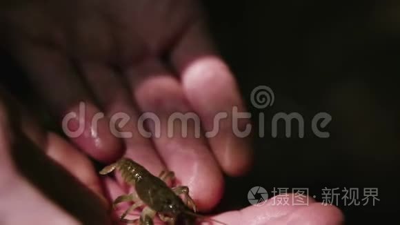 把手上的小龙虾关起来视频
