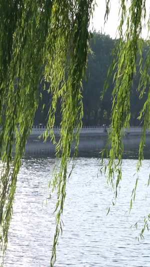 实拍黄昏什刹海风景什刹海风景区31秒视频