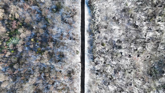 4K航拍冬季雪景森林雪景视频