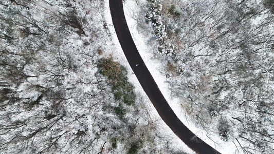 4K航拍冬季雪景森林雪景视频