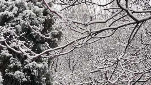 下雪住宅楼雪景视频