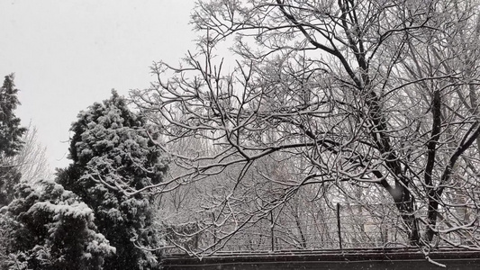 下雪住宅楼雪景视频