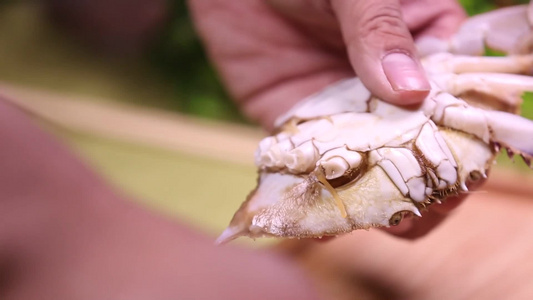 拆螃蟹剥蟹肉视频