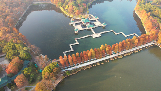 航拍城市公园秋天景观湖景绿道风景4k素材视频