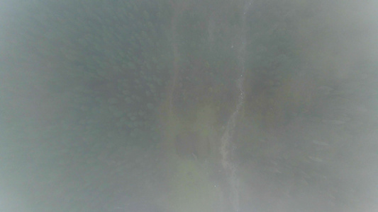 航拍迷雾森林视频