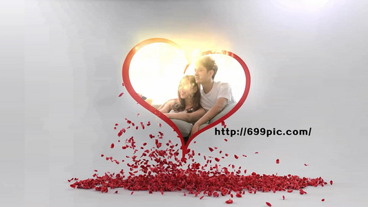婚礼片头唯美红色花瓣飘落视频AEcc2015模板视频