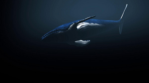 三维鲸鱼动画10秒视频