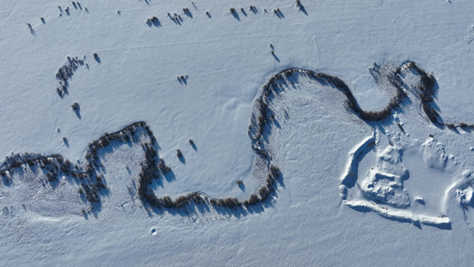 俯拍冬季雪原丛林河流蜿蜒视频