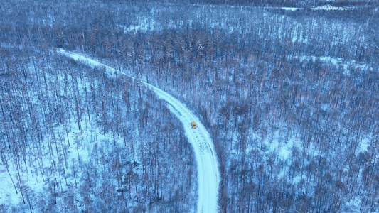 大兴安岭冬季雪景森林道路冰雪道路行车安全视频