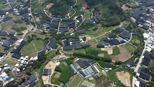 航拍福建最大的兰花基地 南靖视频