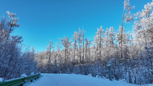大兴安岭冬季雪景森林道路冰雪道路行车安全视频