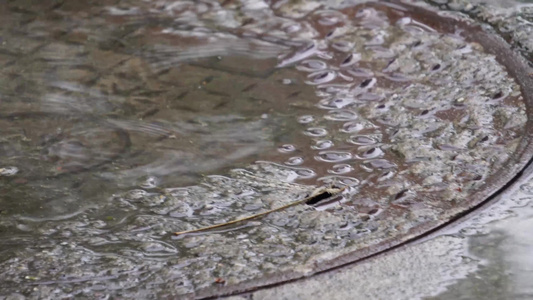 下雨积水水中倒影视频