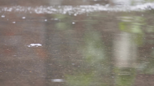 下雨积水水中倒影视频