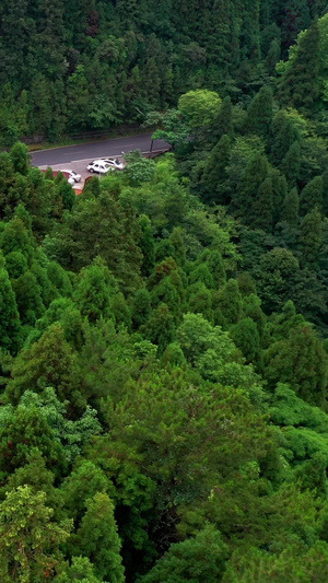 航拍井冈山革命烈士陵园革命旅游胜地29秒视频