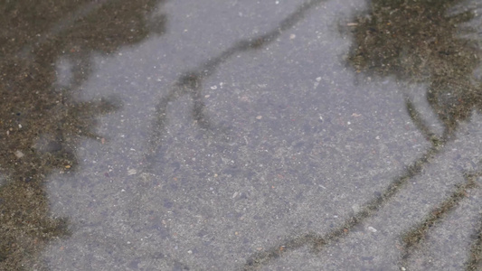 下雨雨点雨滴积水视频